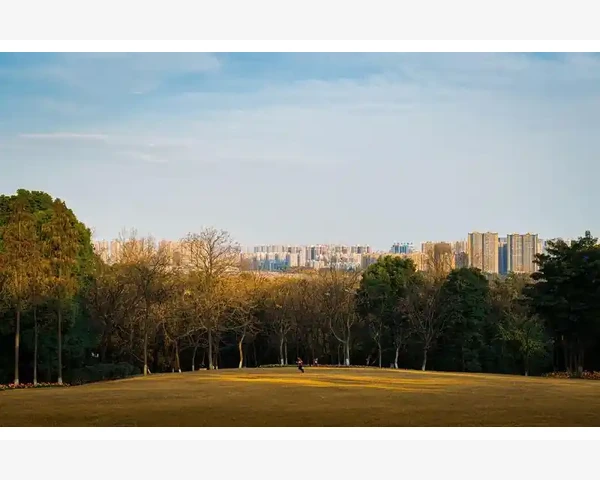 女人身体湿气重怎么办？中药治疗湿气重的效果最佳！