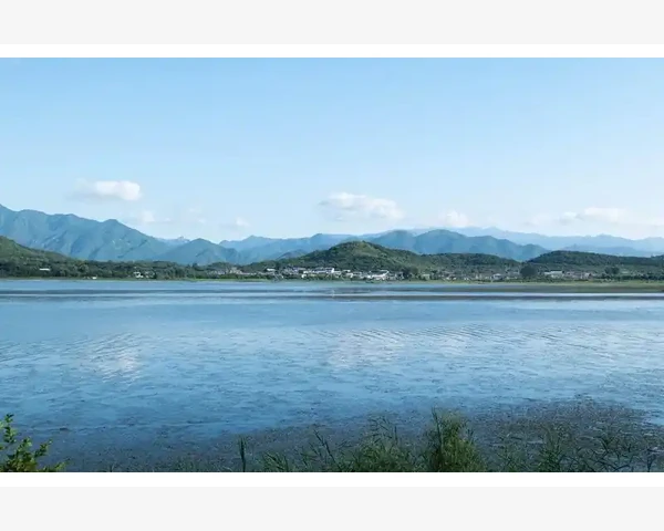 三伏贴：贴脚踝穴位，安享炎炎夏季的清凉舒爽